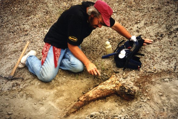 Jack Horner digging up a triceratops in Montana.