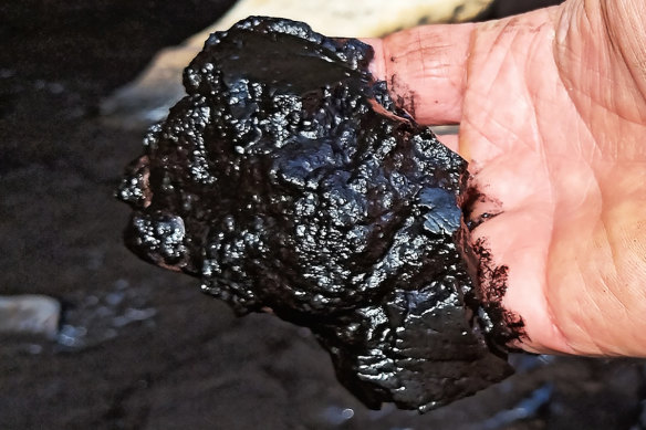 Concerned locals spotted black sludge in Camp Gully Creek last week, which is linked to a pollution incident from the nearby Metropolitan Colliery mine.