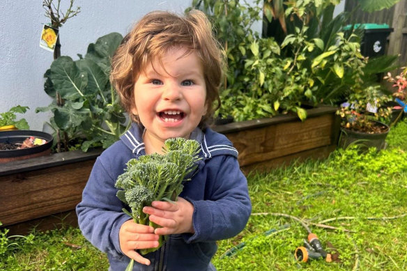 Joe Massa died after systemic failures at Northern Beaches Hospital.