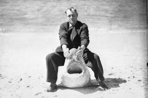 A man holds open a shark’s jaws on Watsons Bay in 1935. Sydney in the 1930s was terrorised by shark attacks.