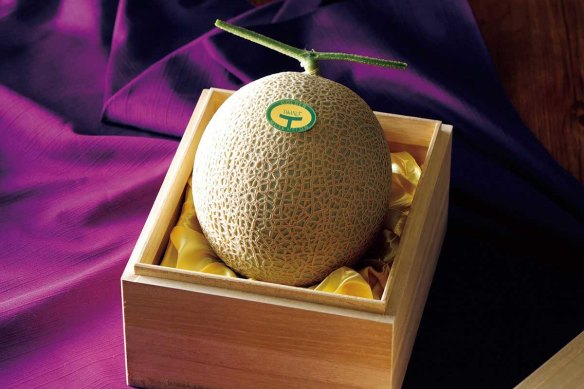 The muskmelon that Shinjuku Takano sell requires a high level of skill and a lot of labour.
