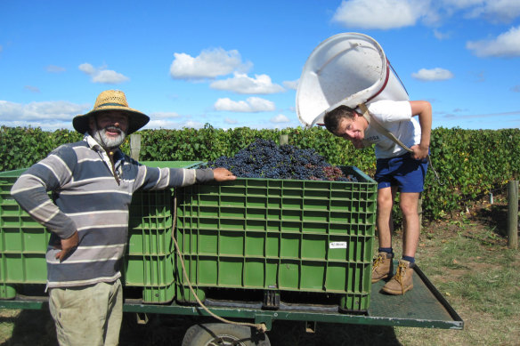 Wine by Farr, Geelong, Victoria.