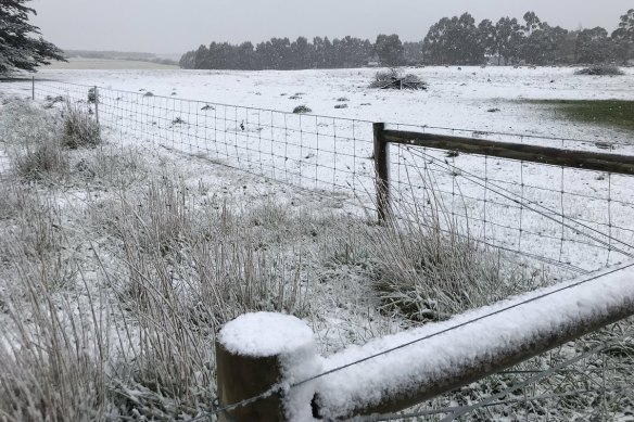 Snow in Lismore, west of Melbourne, during Friday's cold snap.