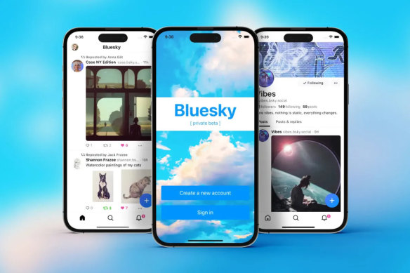 Bluesky has added millions of users since the US election on November 5.