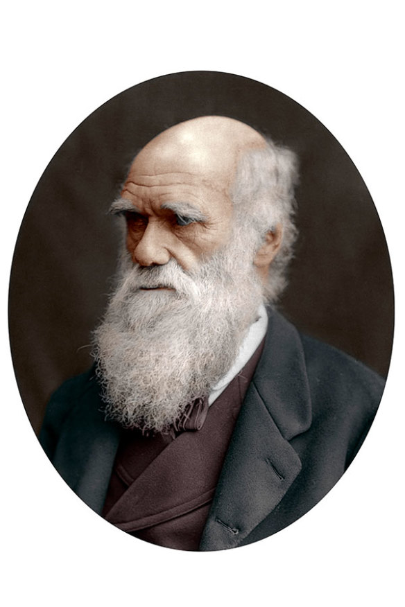 British naturalist Charles Darwin in 1878. Decades earlier, he had visited Australia during a round-the-world trip on the naval ship the HMS Beagle. 