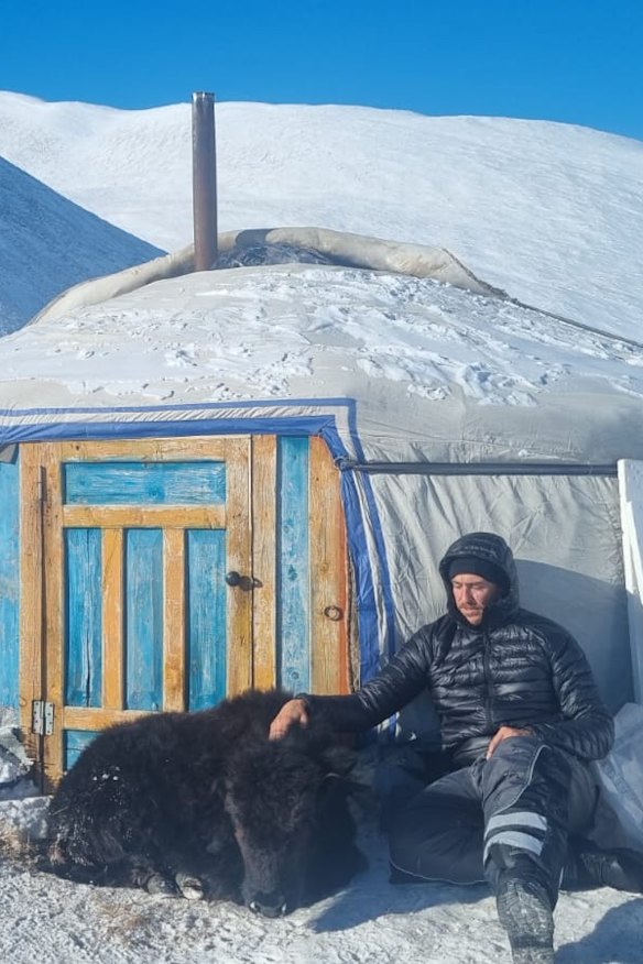 The dying yak outside the filmmakers’ Mongolian tent, or ger.