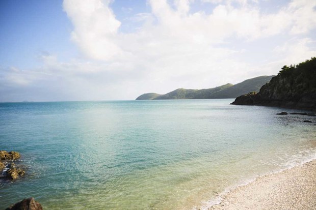 Daydream Island beach