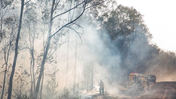 Fire dangers have eased but firefighters continue to battle blazes. On Friday, there were about 11 vehicles on scene at 60 bushfires.