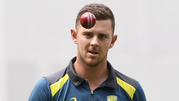 Josh Hazlewood was twice overlooked by selectors for the World Cup squad.