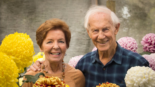 Ronda, President of the Chrysanthemum Society of Victoria, and husband Bill Jenkins with their current crop.