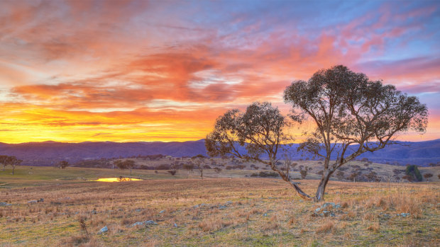 A detail of one of the images by Australian landscape photographer Scott Leggo. 