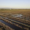 The Ebro Delta is a flat landscape of marshes, channels and lagoons.