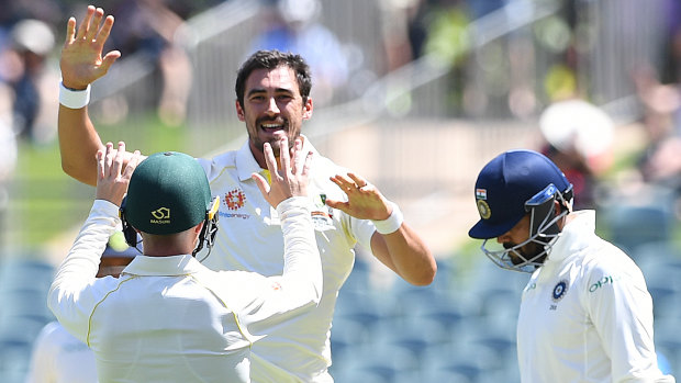 Starc reminder: Paceman rises above criticism ... and praise