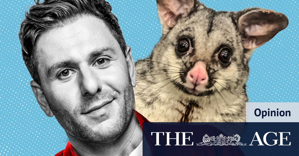 From friend to foe: The possum in my driveway has become a problem
