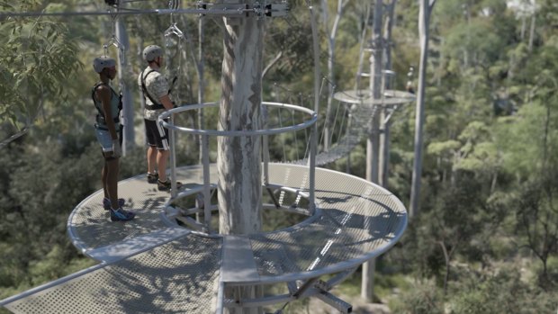 The Mt Coot-tha zip line will also include a 'skywalk'.