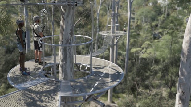 The Mt Coot-tha zipline would have also included a "skywalk".