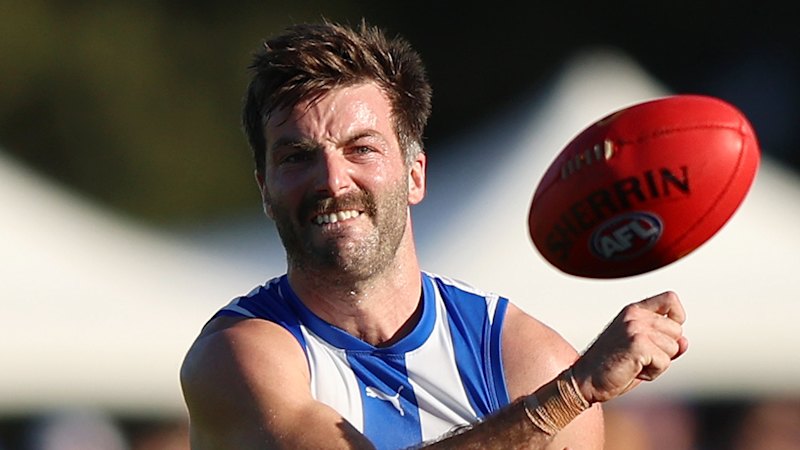 North Melbourne veteran Luke McDonald backs board decision to sack Alastair Clarkson