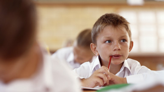 Students can currently complete their schooling without learning the basics of Australia’s democratic system.