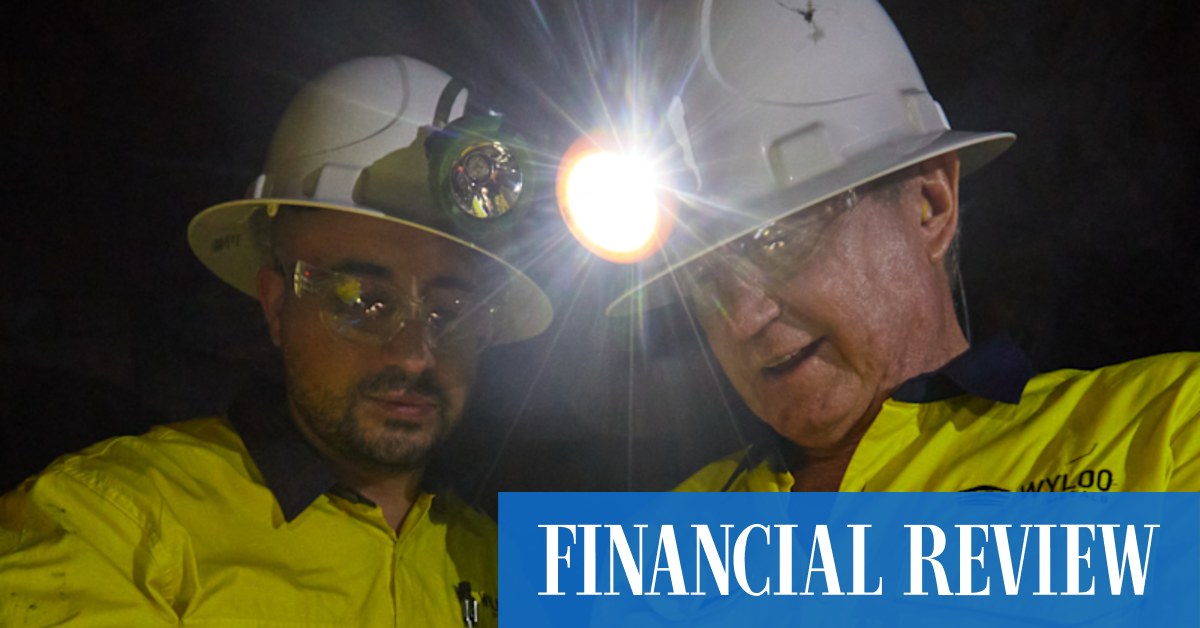 Forrest's 'whatever it takes' call on nickel for batteries - Vimarsana News