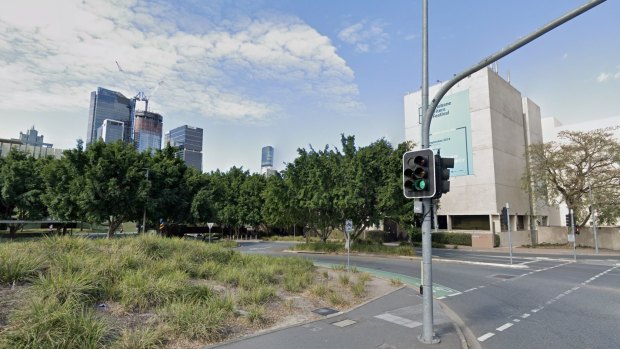 Fig trees outside the Cultural Centre precinct off William Jolly Bridge will be cut down to extend traffic lights at the intersection. 