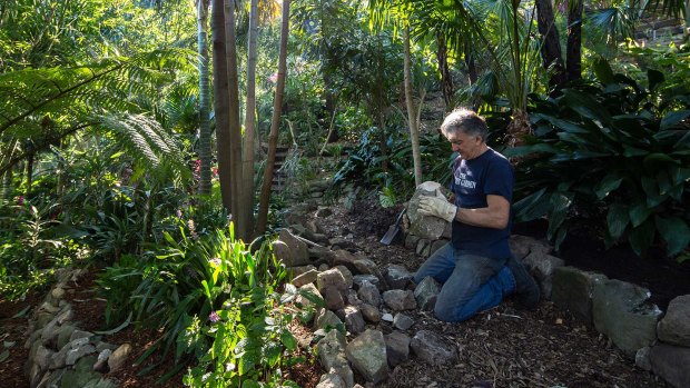 Ruben Gardiol working in Wendy Whiteley's Secret Garden in Lavender Bay.