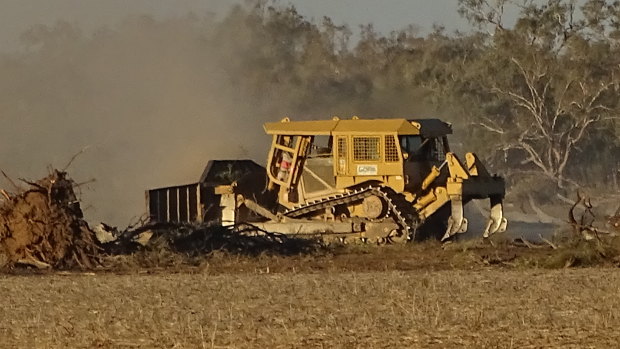Land clearing in north-western NSW is continuing apace even with the drought.