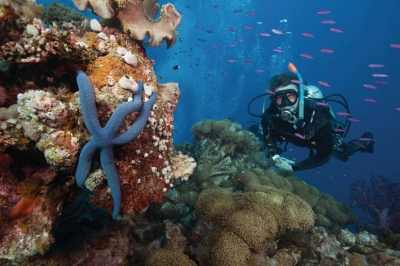 Marine biologist Gareth Phillips (pictured) says it made sense to take UNESCO ambassadors to the reef before the vote. 