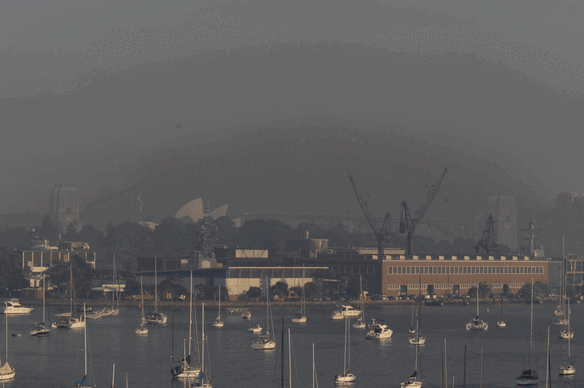 Smoky Sydney