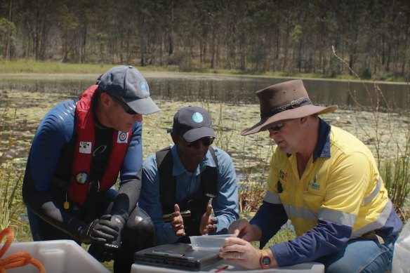 Researchers preparing to release the weevils.