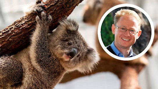 A Nationals MP on an inquiry into koalas backed findings that habitat had to be conserved, raising questions over why his party threatened the government over the issue. 