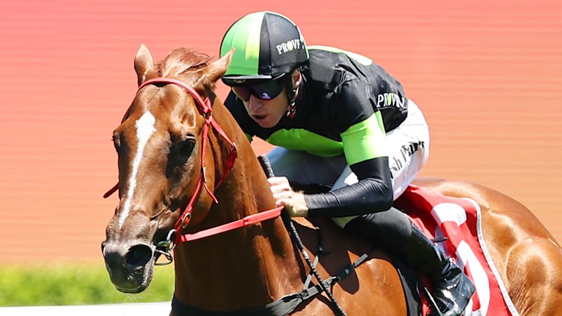 Race-by-race preview and tips for Gosford on Saturday