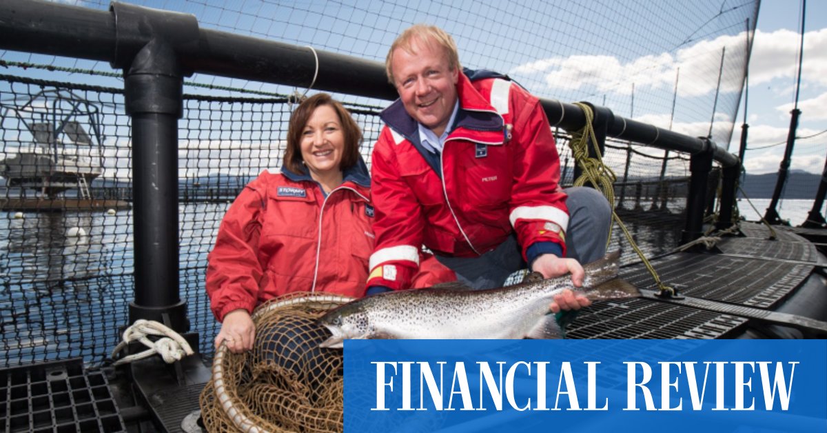 Huon Aquaculture salmon farm fields takeover offers - Vimarsana News