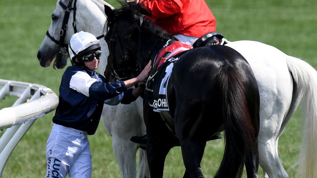 Jockey Ryan Moore with The Cliffsofmoher after the horse's injury in this year's Melbourne Cup.