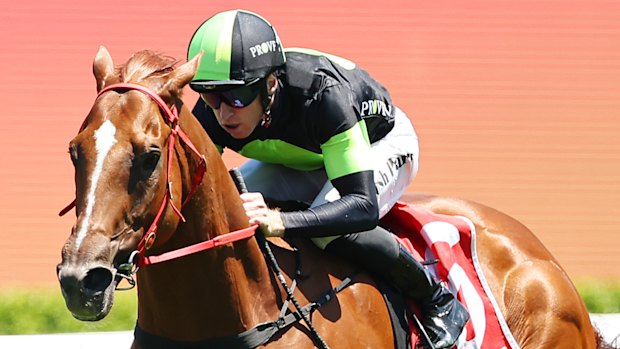 Accredited will run for Joe Pride on Saturday.