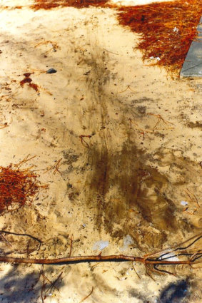 The drag marks left in the sand after Bradley Edwards dragged his 17-year-old victim into Karrakatta cemetery to rape her. 