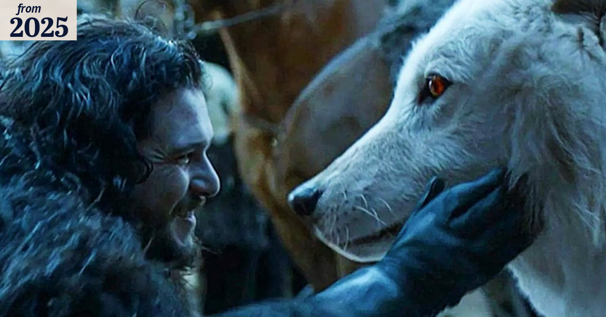 Extinct dire wolf DNA used to create genetically engineered pups