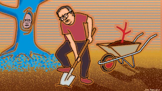 Illustration: Jim Pavlidis