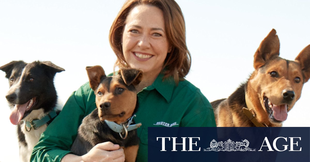 Lisa Millar on bullying, Muster Dogs and finding that silver lining - Vimarsana News