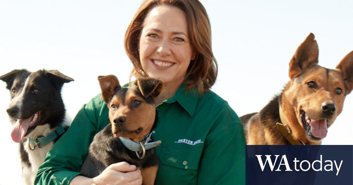 Lisa Millar on bullying, Muster Dogs and finding that silver lining - Vimarsana News