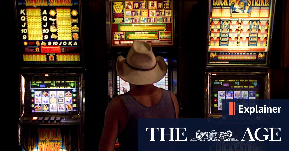 How would a NSW gambling card stop poker machine money laundering? - Vimarsana News