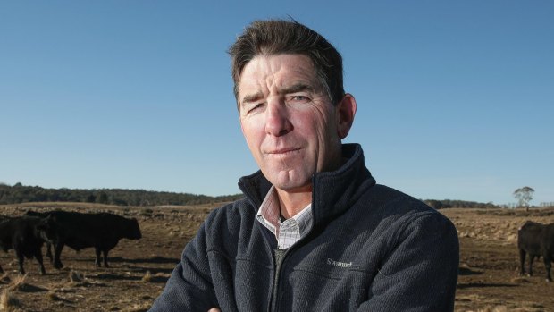 Richard Taylor is under investigation over allegations of illegal land clearing.