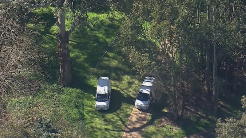 Police launch strike force after body found in Baulkham Hills bushland