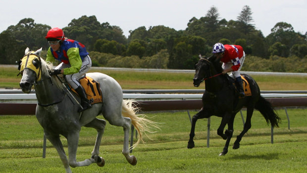 Racing returns to Ballina on the northern rivers with an eight-race card on Friday.