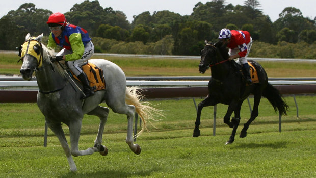 Racing returns to Ballina on the northern rivers with a seven-race card on Monday.