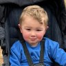 ‘My little buddy’s gone’: Toddler drowns after following puppy to neighbour’s property