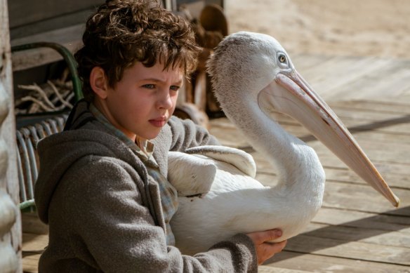 Finn Little starring in the film Storm Boy.