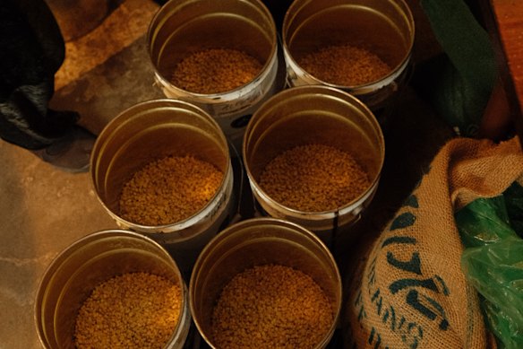 Roasted and ready for brewing.
