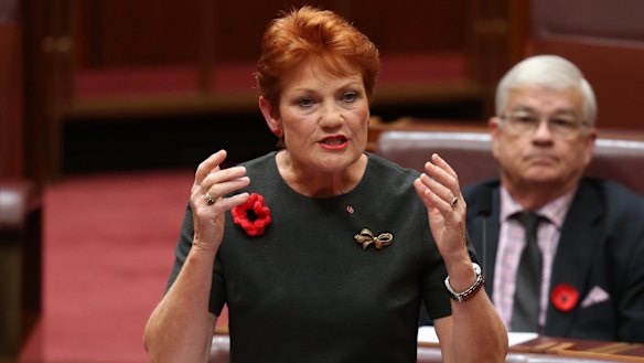 Pauline Hanson, who once said: 'I can see in Donald Trump a lot of me.'