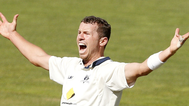 Peter Siddle says the Dukes ball should be ditched inthe Sheffield Shield after this season.