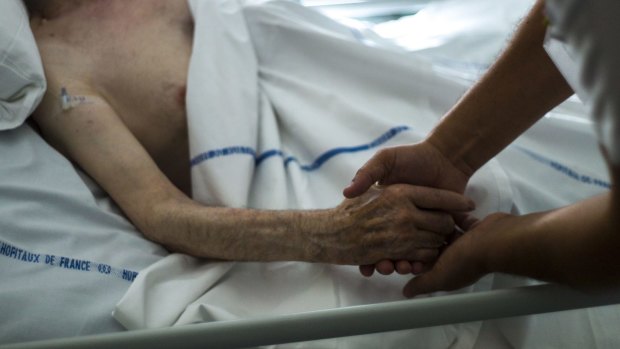 Voluntary euthanasia advocates have called on the Queensland government to fast-track its inquiry.